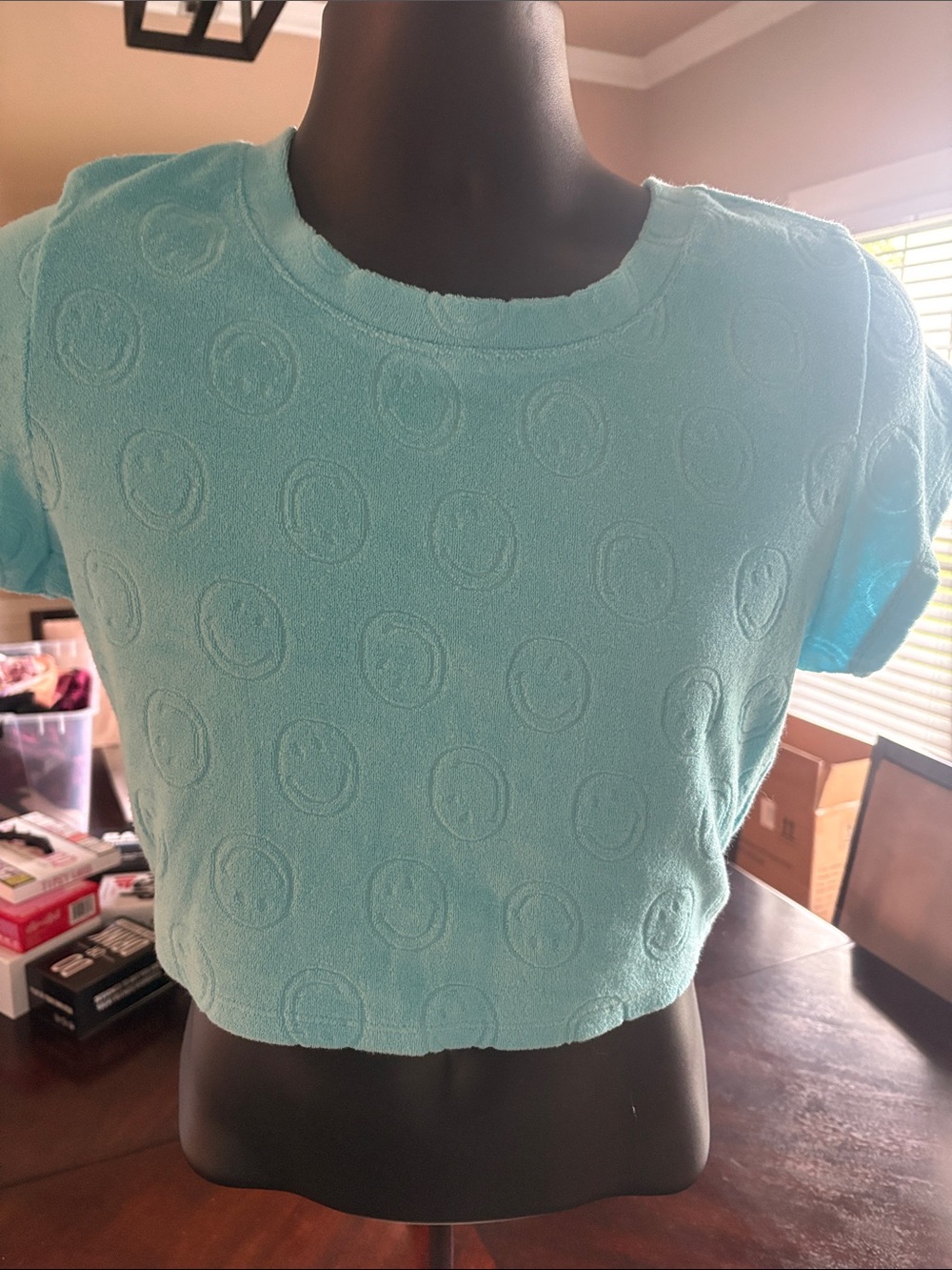 aerie Aqua Textured Smiley-Dot Cropped Tee